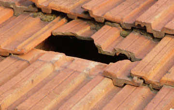 roof repair Manafon, Powys