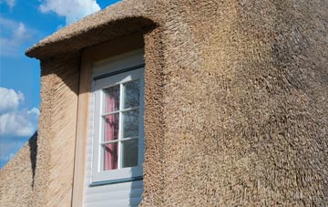 Manafon thatch roof disadvantages